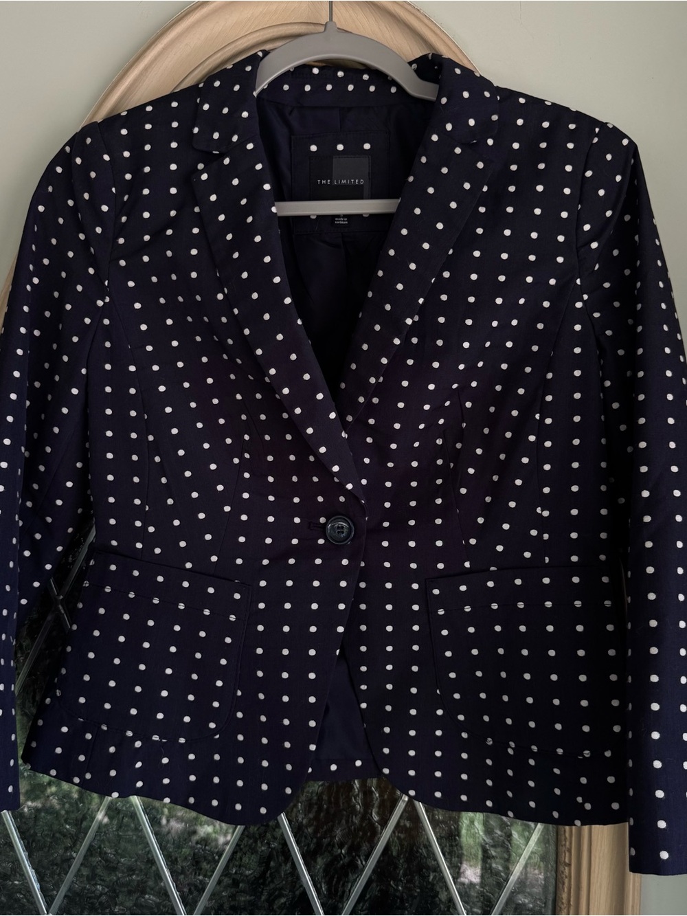 The Limited Black Polka Dot Blazer